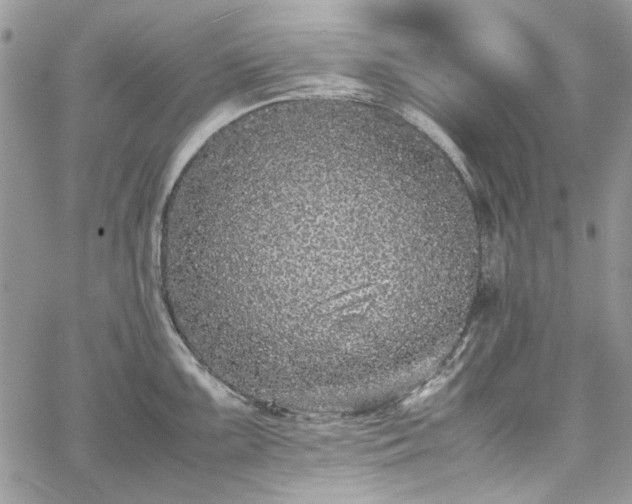 X0000067951099200604201425