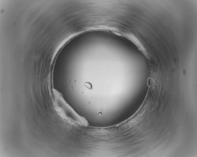 X0000067951100200604201425