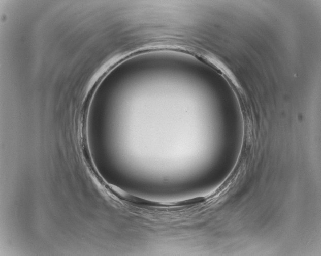 X0000067951101200604201425