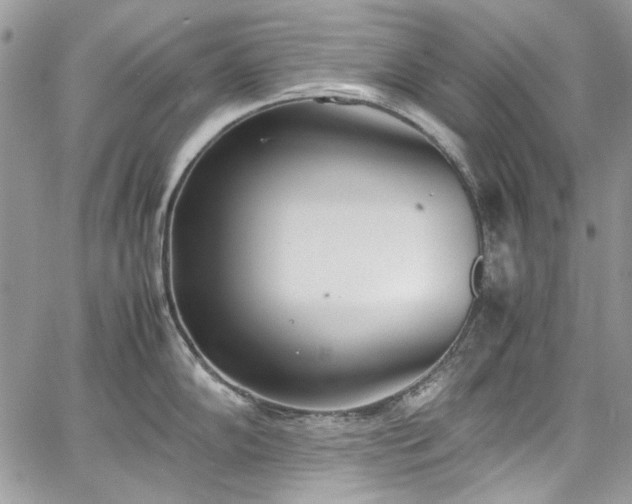 X0000067951102200604201425