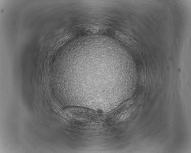 X0000067951105200604201424