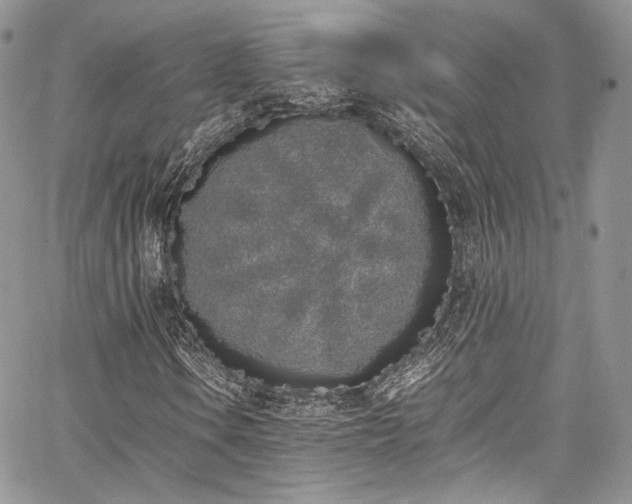 X0000067951106200604201424