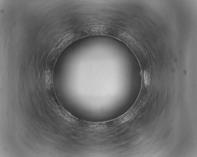 X0000067951107200604201424