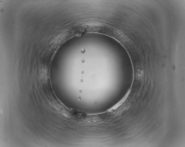 X0000067951108200604201424