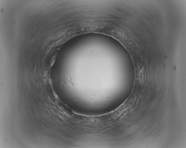 X0000067951109200604201424