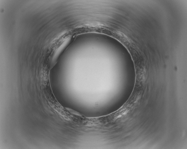 X0000067951110200604201424