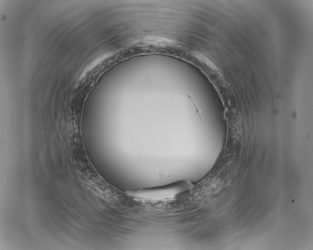 X0000067951112200604201424