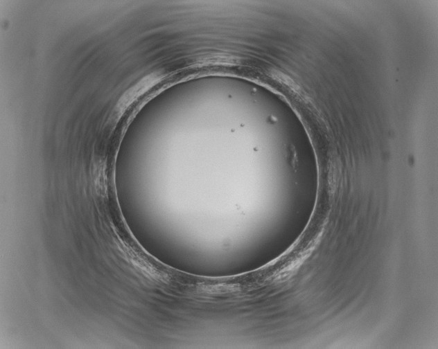 X0000067951113200604201424