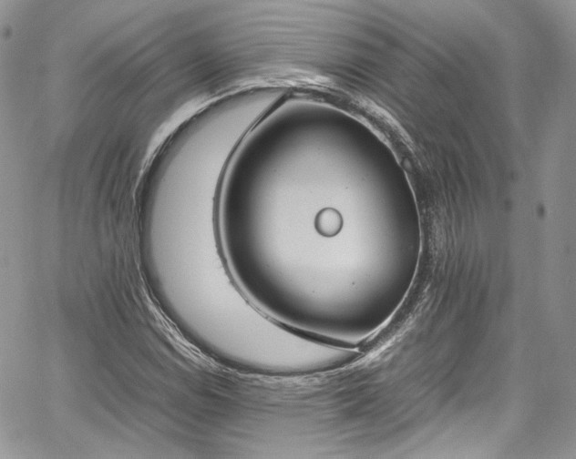 X0000067951114200604201424