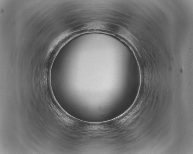 X0000067951115200604201424