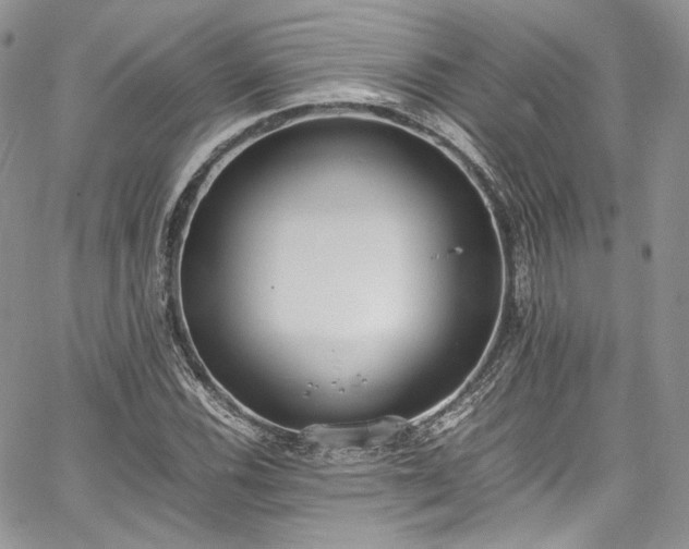 X0000067951116200604201424