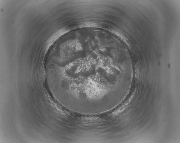 X0000067951117200604201424