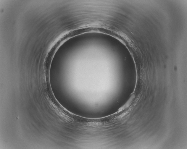 X0000067951118200604201424