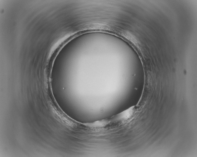 X0000067951120200604201424