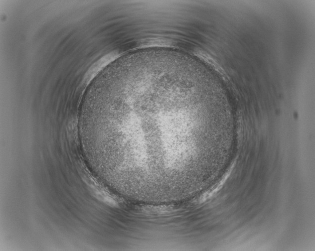 X0000067951121200604201424