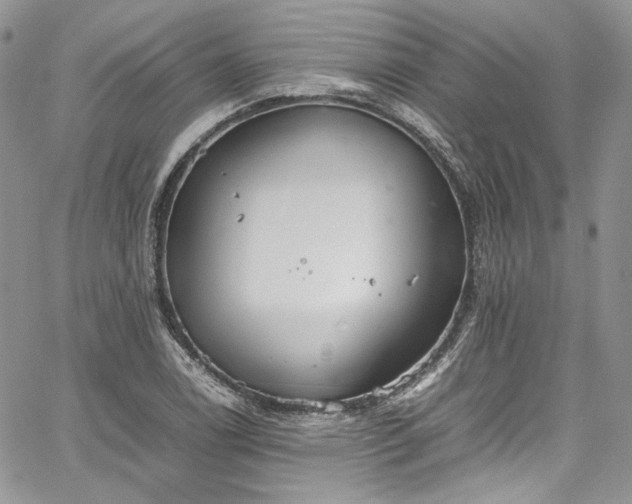 X0000067951122200604201424