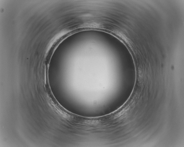 X0000067951123200604201424