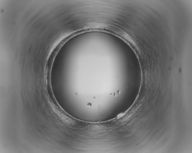 X0000067951124200604201424