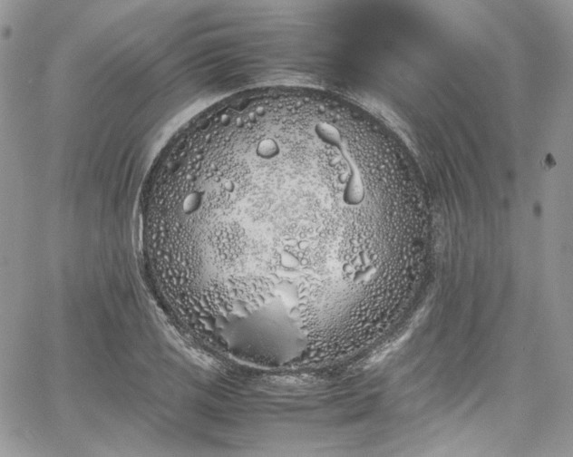 X0000067951125200604201424