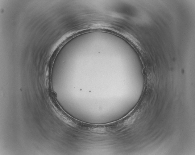 X0000067951126200604201424