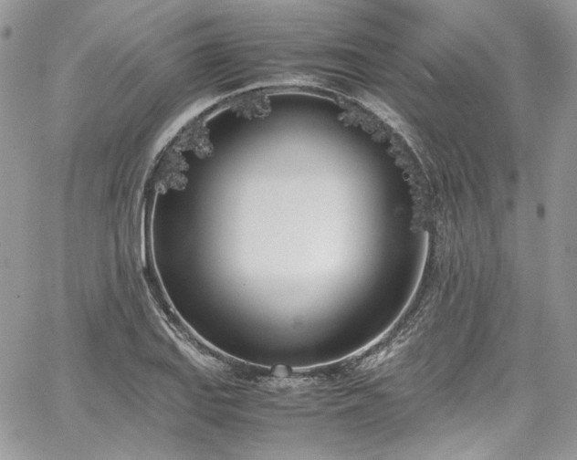 X0000067951127200604201424