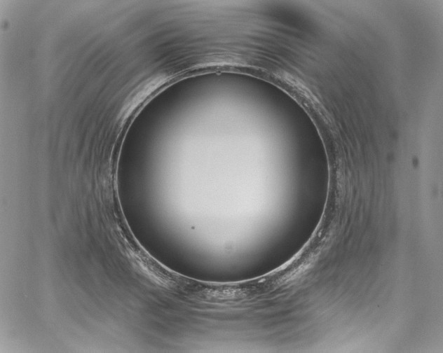 X0000067951129200604201424