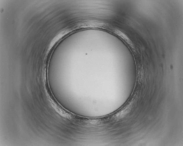 X0000067951130200604201424