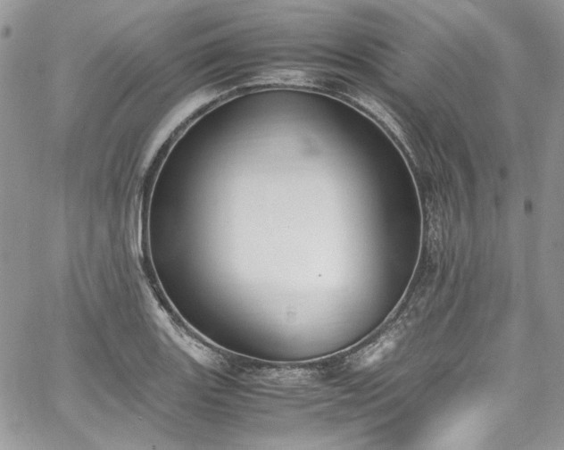 X0000067951131200604201424