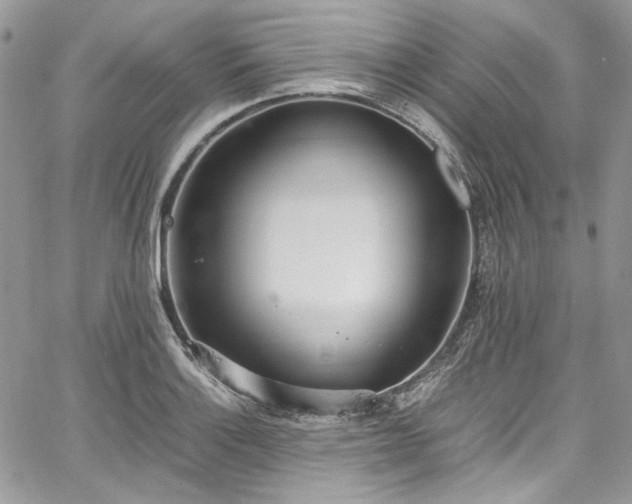 X0000067951132200604201424