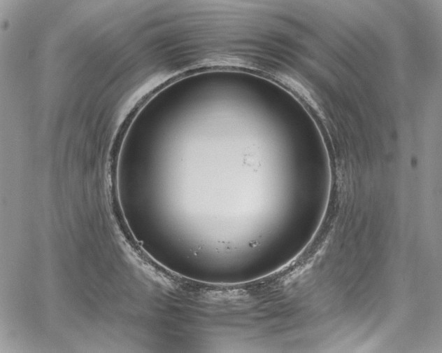 X0000067951133200604201424