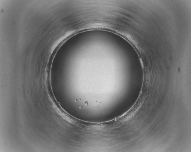 X0000067951134200604201424