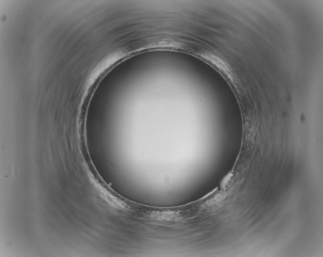 X0000067951135200604201424