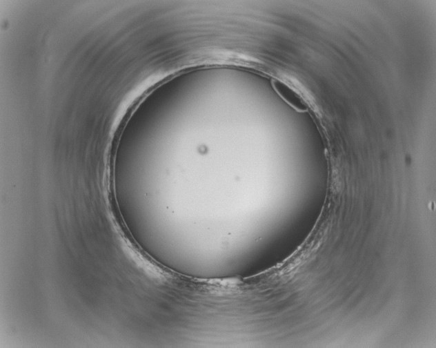 X0000067951136200604201424