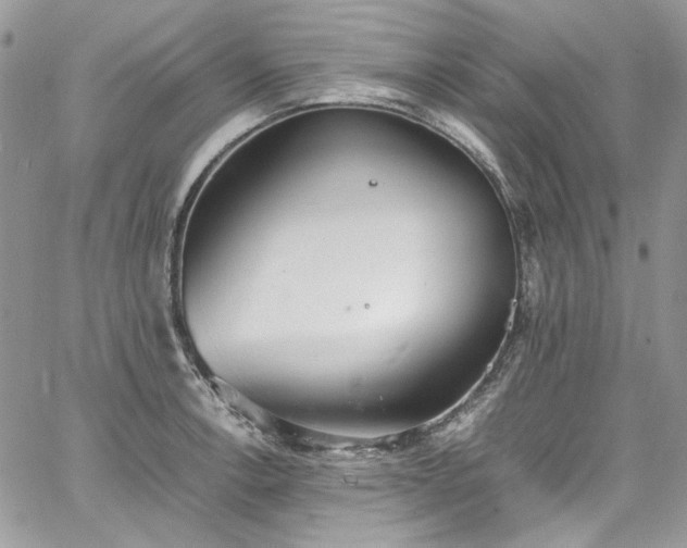 X0000067951138200604201424