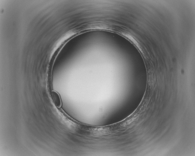 X0000067951139200604201424