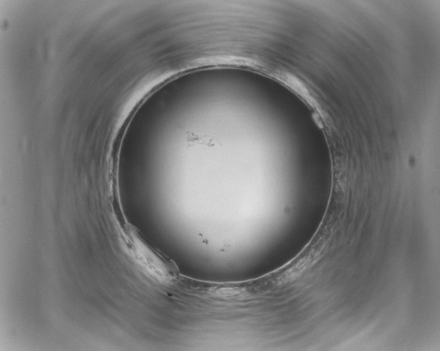 X0000067951140200604201424