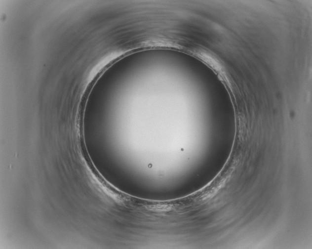 X0000067951141200604201424