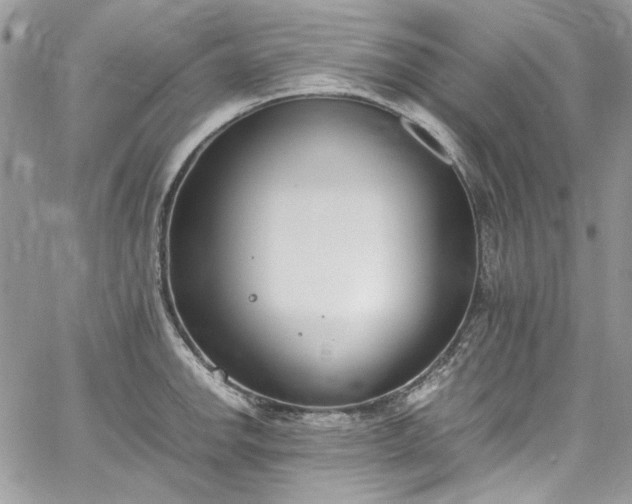 X0000067951142200604201424