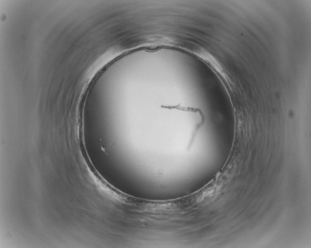 X0000067951143200604201424