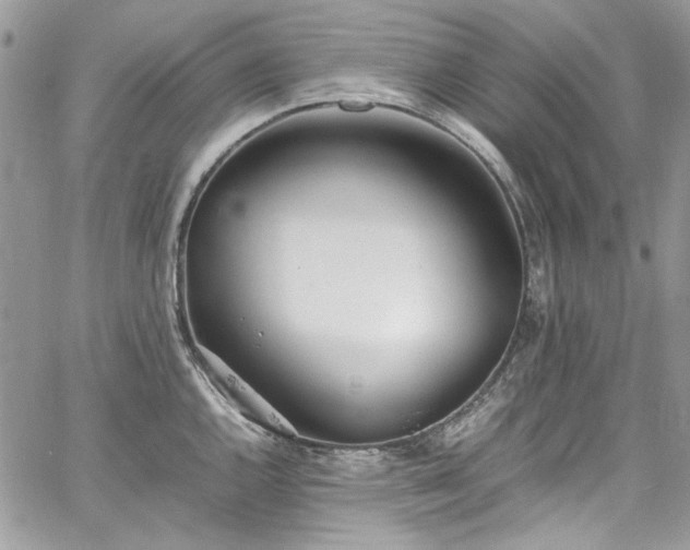 X0000067951144200604201424