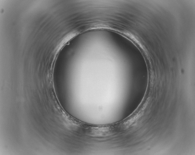 X0000067951145200604201424