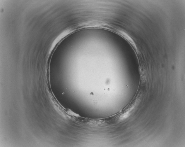 X0000067951146200604201424