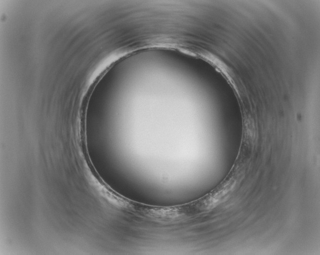 X0000067951147200604201424