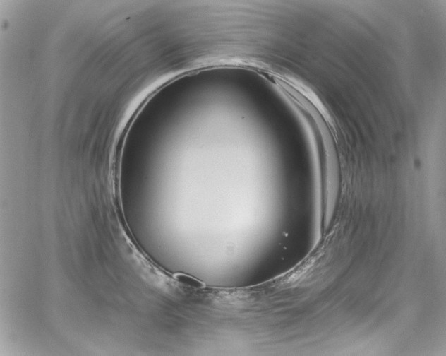 X0000067951148200604201424