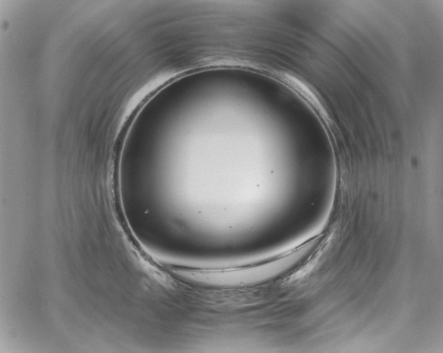 X0000067951149200604201425