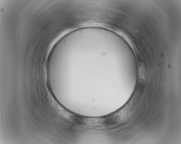 X0000067951150200604201425