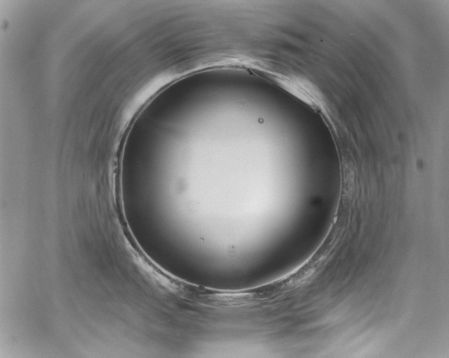 X0000067951151200604201425