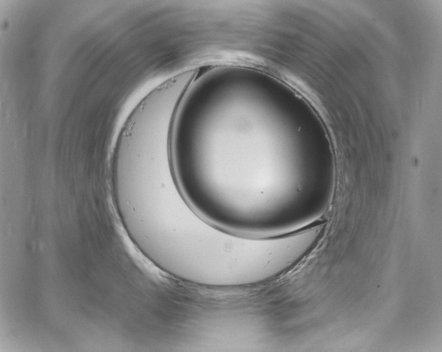 X0000067951152200604201425