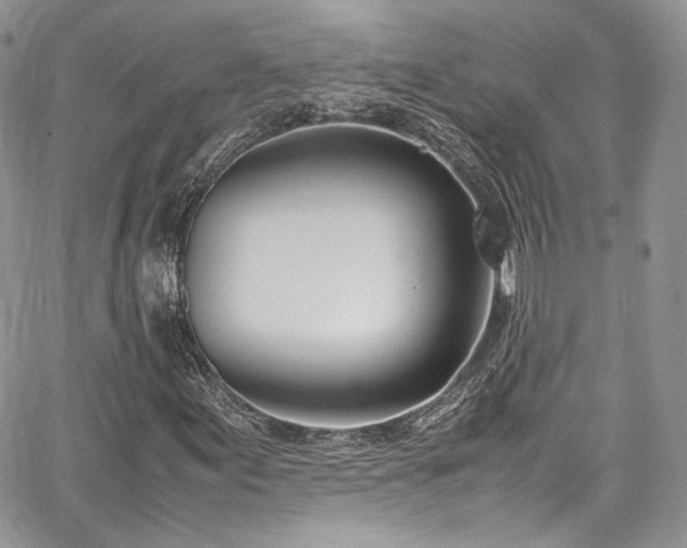 X0000067951155200604201424