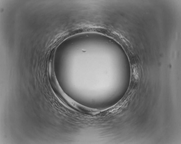 X0000067951157200604201424